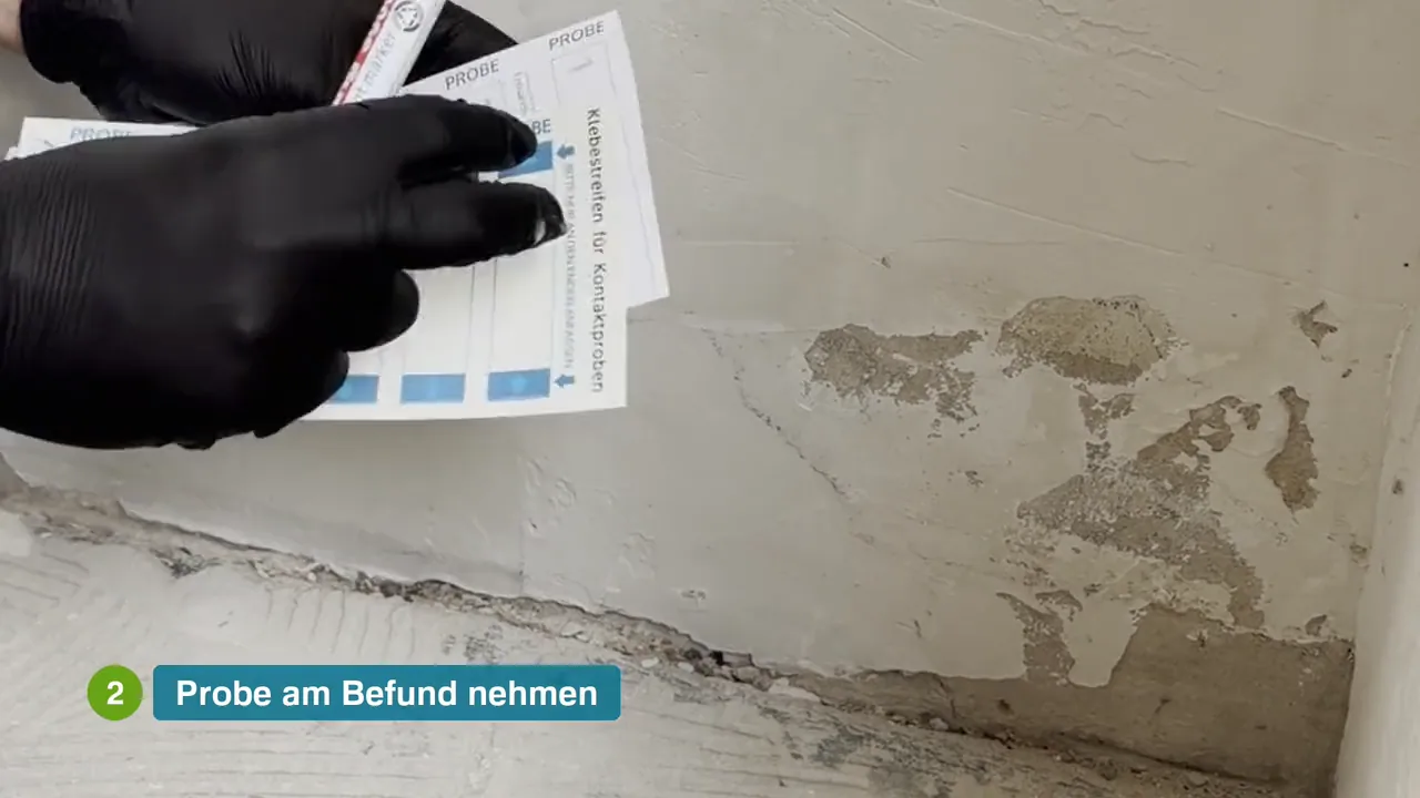 Klebefilm-Probenset von Argos Analytics wird an der Wand angesetzt